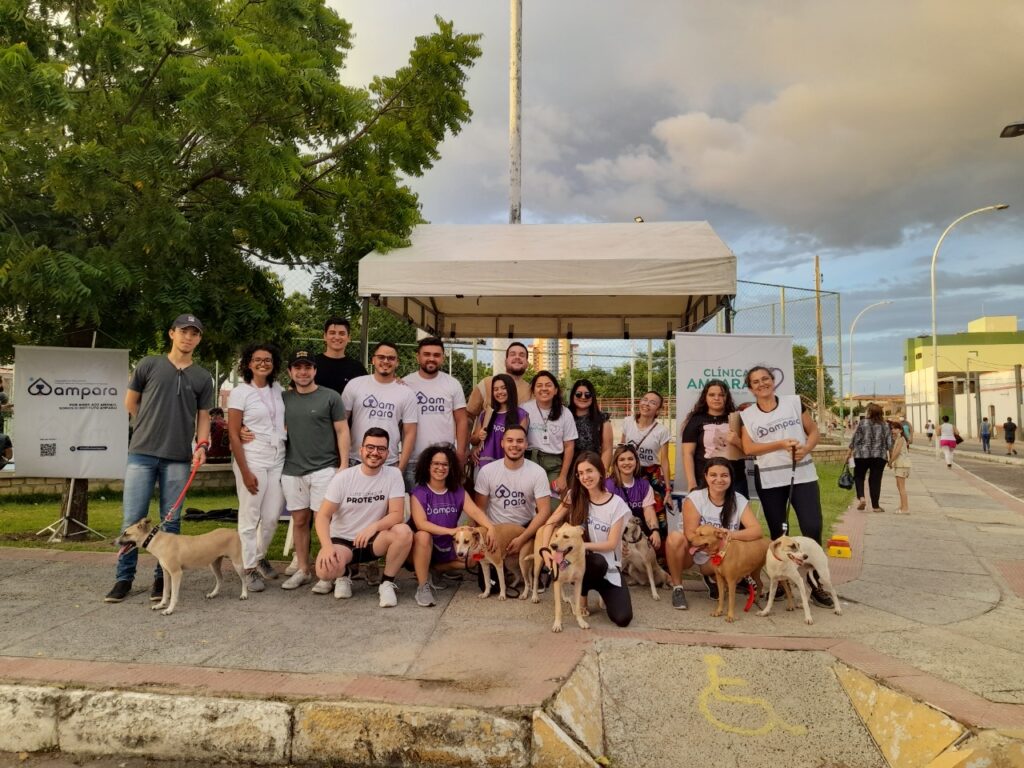 Instituto_Ampara1_Voluntariado