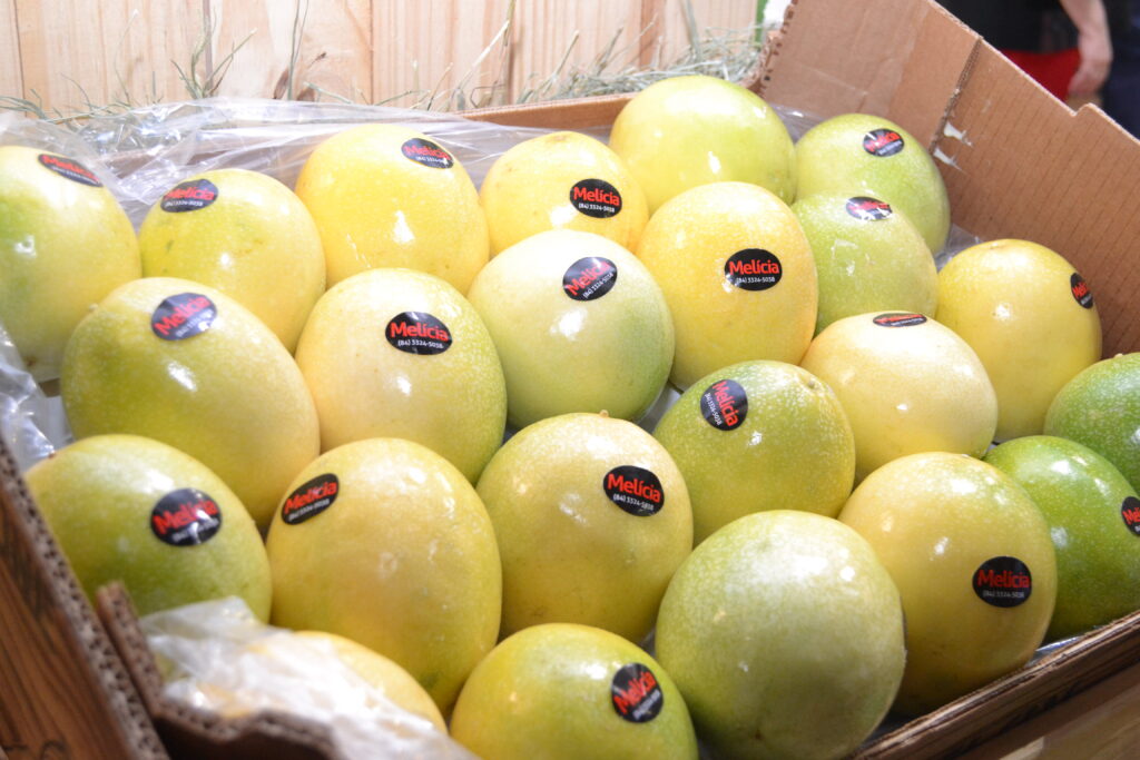 Expofruit_Foto Robson Carvalho 01